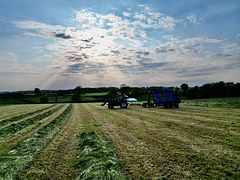 Silaging