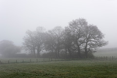 Cheshire landscape