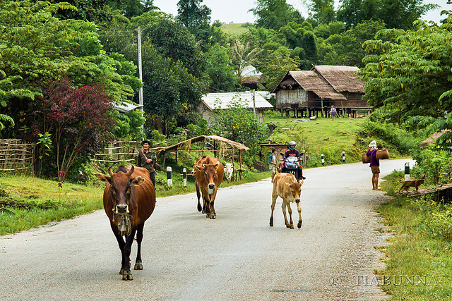 Along the road