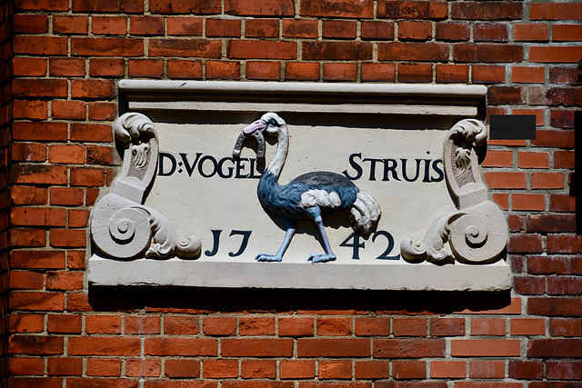 Amsterdam 2017 – D:Vogel Struis 1742