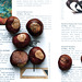 Conkers, and an Art Catalogue
