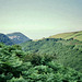 Looking towards Hollerith Hill and Lynton from near Myrtlebury Cleave (Scan from July 1991)