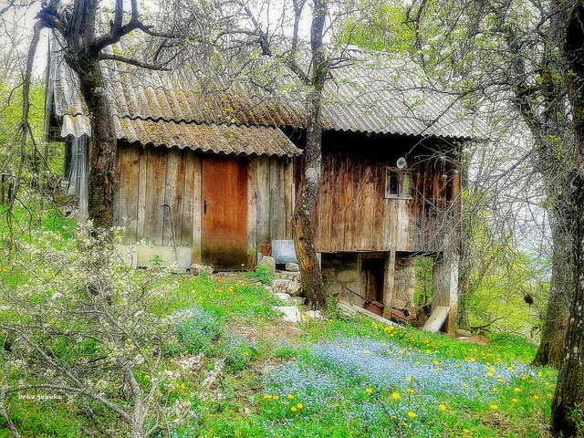 Spring in the yard of an abandoned house