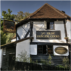 Ye Old Fighting Cocks, St Albans
