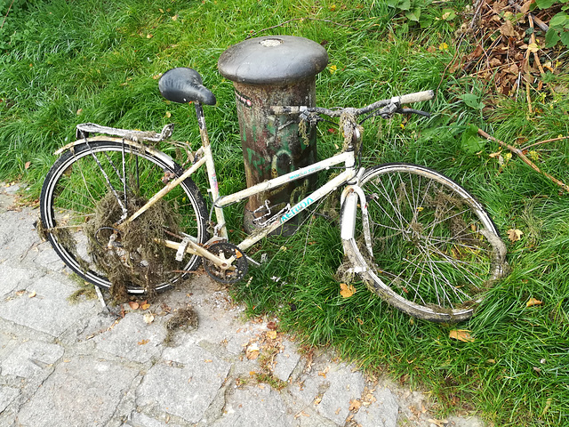 Bicycle Cadaver