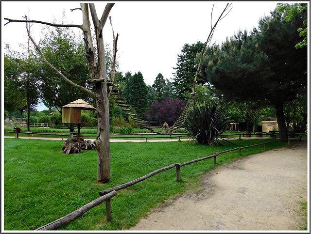 Le parc des Lémuriens au parc zoologique de Pleugueneuc
