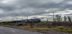 ständige Begleitung neben der E10 von Kiruna nach Abisko: die Erzbahn nach Narvik ... P.i.P. (© Buelipix)