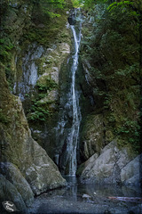 Niagara Falls on Vancouver Island? YES! At Lovely Goldstream Provincial Park