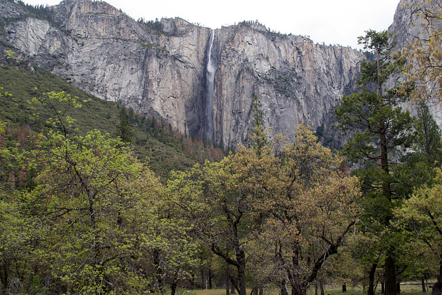 Yosemite Valley Ribbon falls (#0555)
