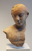 Terracotta Bust of a Youth in the Getty Villa, June 2016