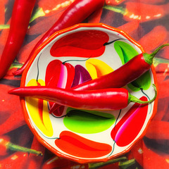 Hot Chilies