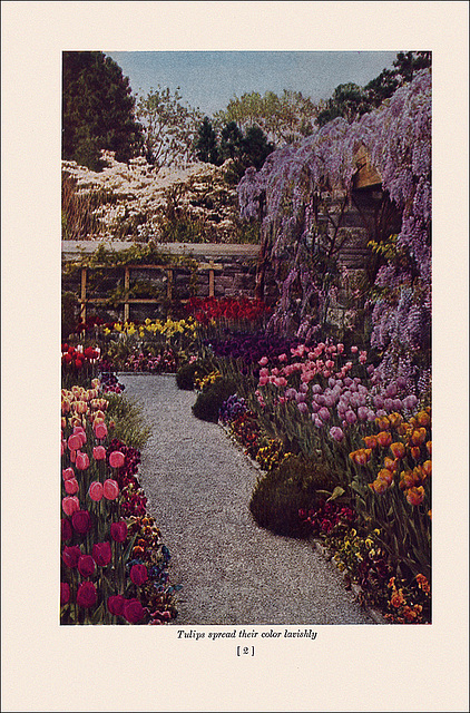 Garden Bulbs In Color (2), 1938/1945