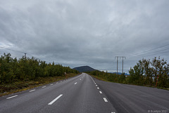 auf der E10 von Kiruna nach Abisko ... P.i.P. (© Buelipix)