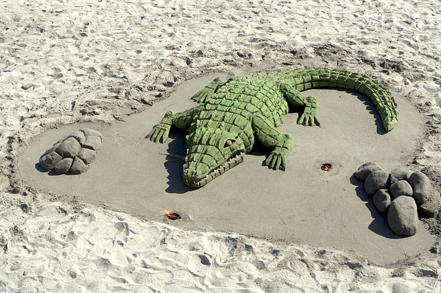 Beach crocodile at Almuñécar
