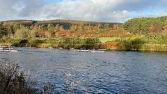 Rowers on the Caledonian Canal