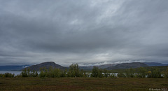 langsam wird's hügelig ... zwischen Kiruna nach Abisko (© Buelipix)