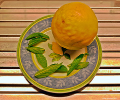 Aicha - meine Zitrone,  220 Gramm    -   PiP