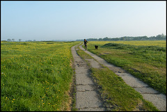 a walk in the meadow