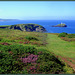 Godrevy and St Ives Bay from Reskajeage Downs