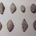 Lead Roman Sling Bullets in the Archaeological Museum of Madrid, October 2022