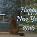 Happy New Year to you all - Explored 31.12.2015, #88