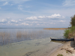 На берегу озера Свитязь / On the Shore of Lake Svityaz