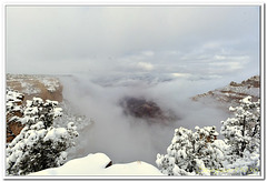 Looking down the rim of the snowy Grand Canyon