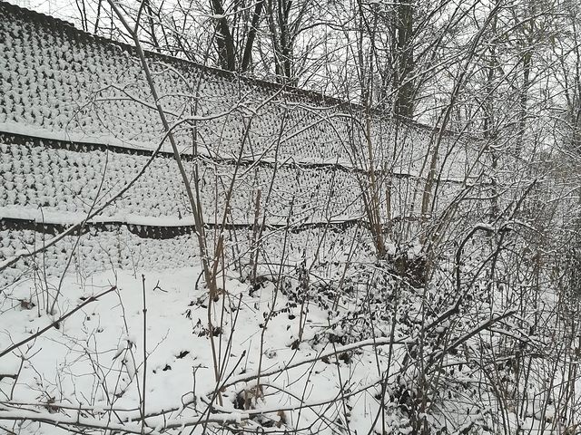 Snowy Fence Alright - HFF