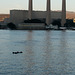 Morro Bay otter place / covid observations ( #0524)