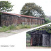 Corrugated iron shed Bishopstone 7 8 2021