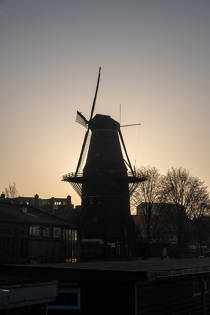 Windmolen - Windmill