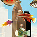 fish in the city