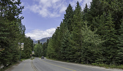 Lorimer Road bei Whistler (© Buelipix)