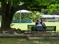 Public Gardens, Presidential Palace, Trinidad (HBM)