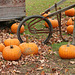 Pumpkins and plows (Explored)