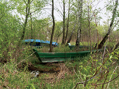 Лодки в лесу / Boats in the Forest