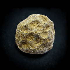 Min. 70 Mio Jahre alt: Nummulit (PiP)