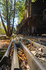 autumn rails