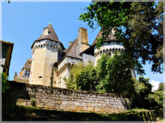 Le château de Lanquais (24) vu du chemin