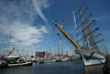 Tall Ships In Amsterdam