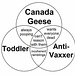 cvd - venn diagram; toddler, geese, anti-vaxxer