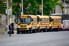 Canada 2016 – Toronto – Schoolbuses