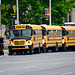 Canada 2016 – Toronto – Schoolbuses