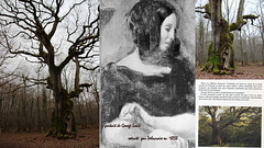 George Sand et son arbre