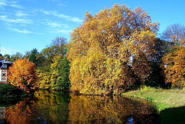DE - Kerpen - Autumn at Schloss Türnich