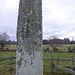 Ogham Stone on the Altyre Estate