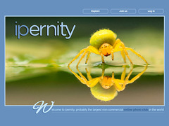 ipernity homepage with #1555