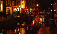 Red Lights on a Dutch Canal.