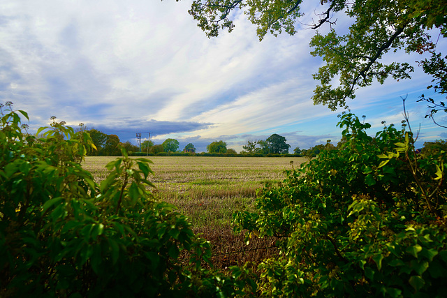 Fields near Stretton
