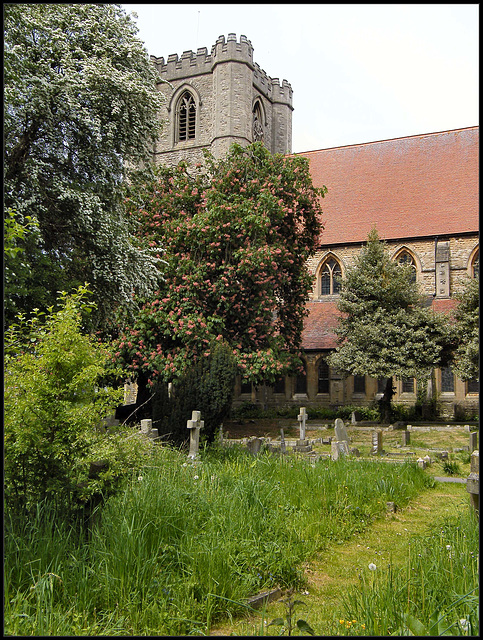 Cowley Road churchyard